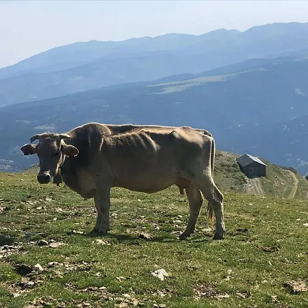 Panoramic Xalet La Molina Con Vistas Excelentes